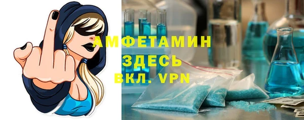 сатива Надым