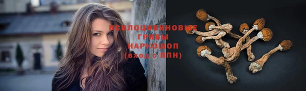 гидра Навашино