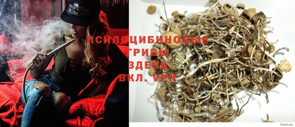 сатива Надым