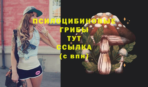сатива Надым