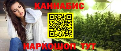 Альфа ПВП Гатчина
