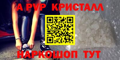 Альфа ПВП Гатчина