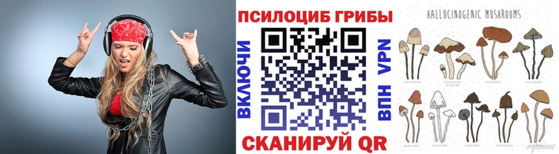 ссылка на мегу ссылки  как найти наркотики  Миллерово  Галлюциногенные грибы GOLDEN TEACHER 